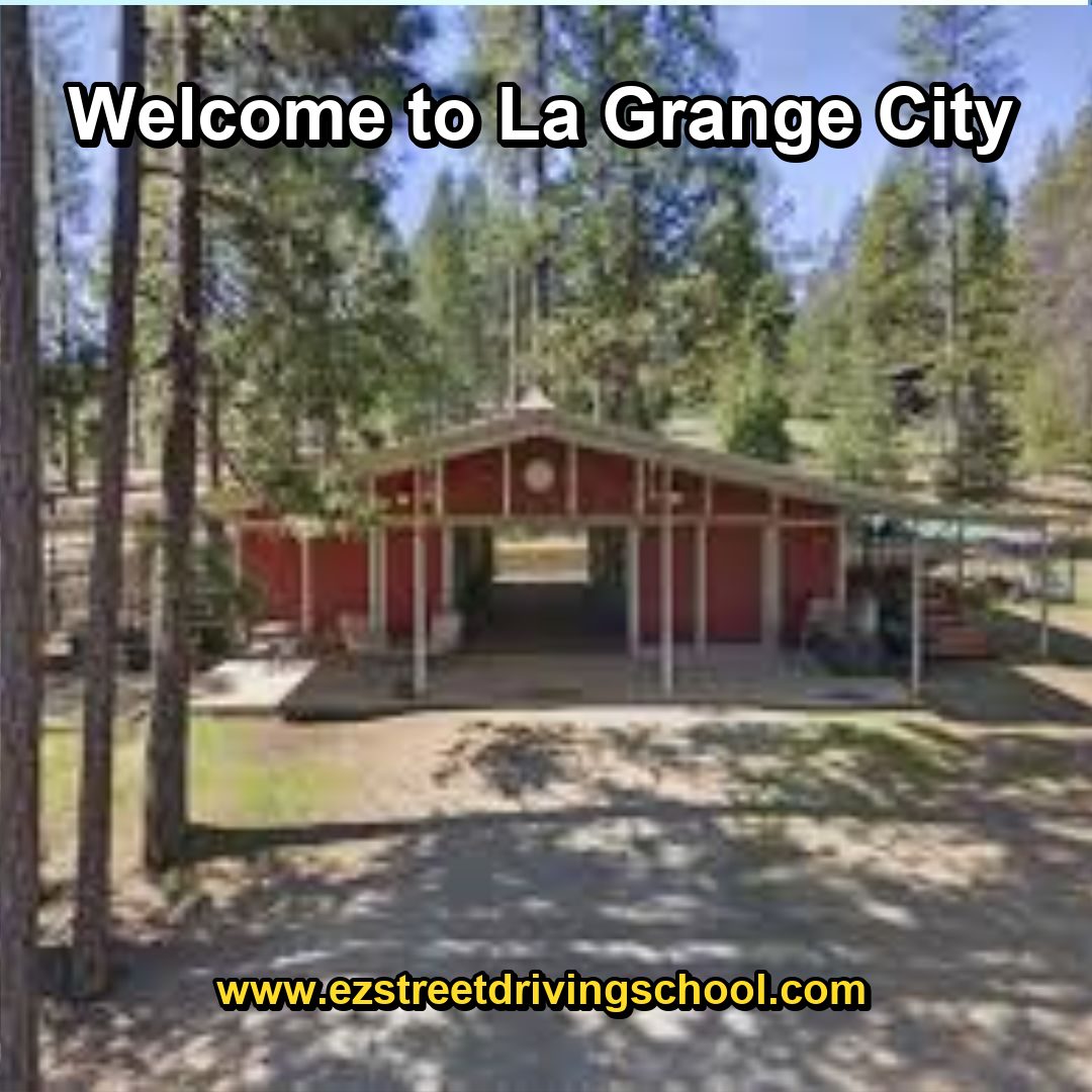 Driving Lessons in La Grange